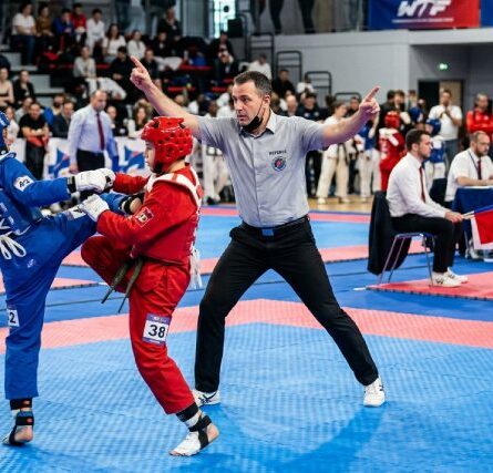 arbitrage arts martiaux